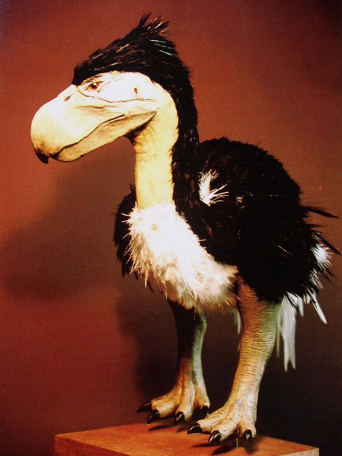 Top kunstwerk van de oervogel uit de prehistorie. Dit levensechte dier figuur is gemaakt door paleo kunstenaar Jaap Roos.