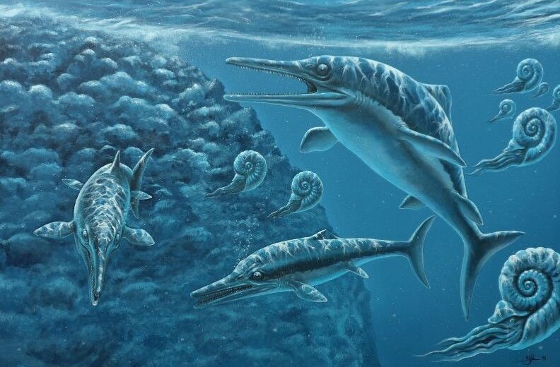 Paleo kunst zee schilderij. De onderwaterwereld uit de oertijd met verschillende uitgestorven dieren. Gemaakt door paleo kunstenaar Jaap Roos