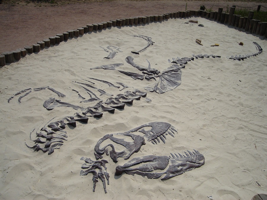sculptuur gemaakt van polyester extra sterk zodat deze in de zandbak gebruikt kan worden als een archeologische vondst voor kinderen