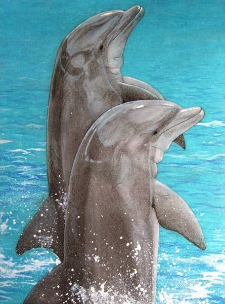 Dieren kunst van dolfijnen die springen uit het water. Getekend door dieren kunstenaar Jaap Roos, erg realistisch schilderij
