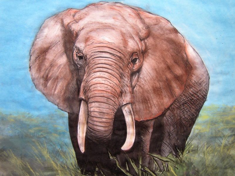 Schilderij van een dier in de natuur, een olifant. Digitaal gescand en gebruikt als illustratie