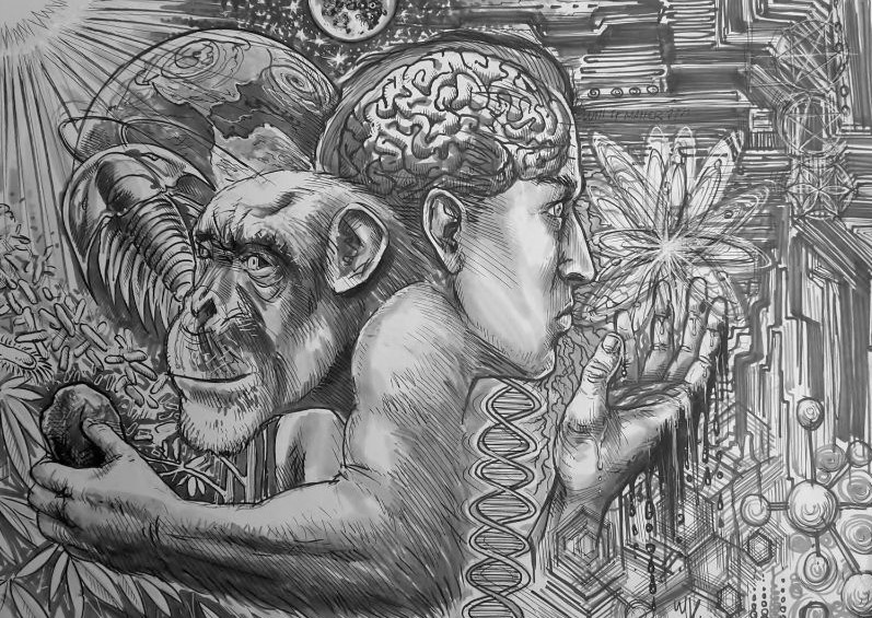 Artistiek eigen fantasie tekening over de evolutie van de mens, getekend door artist Jaap Roos