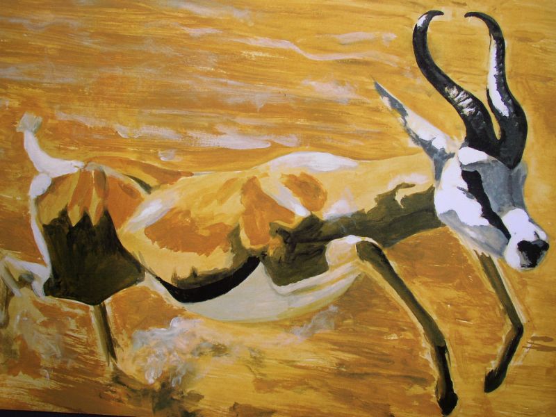 Natuur Schilderij van het dier de gazelle. Dieren schilderij van de gazelle in het natuurlandschap