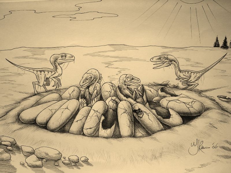 Paleontologisch kunstwerk getekend door Jaap Roos. Baby raptors kruipen uit de eieren van een nest.