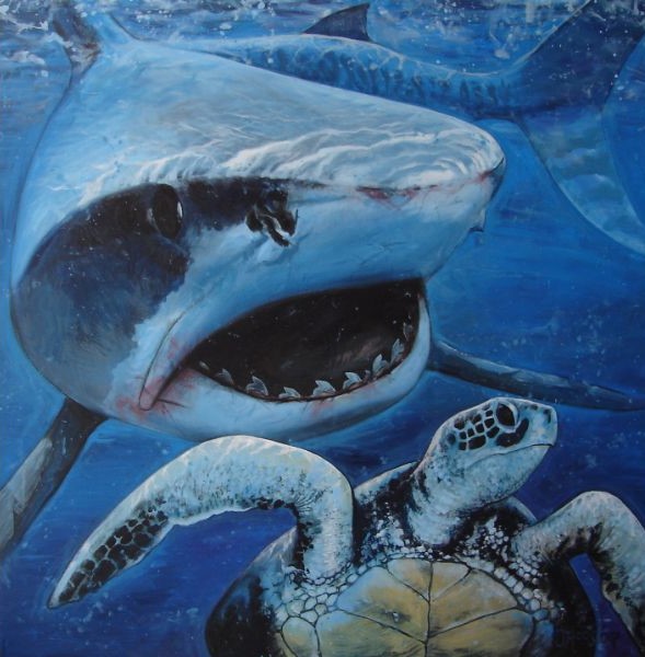 Mural van de tiger shark chasing a turtle. Made by nature artist Jaap Roos