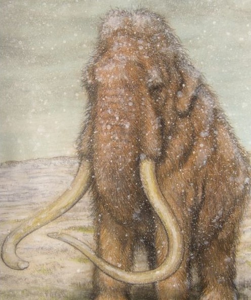 Paleoart schilderij van de wolharige mammoet. Is gebruikt als illustratie van een boek