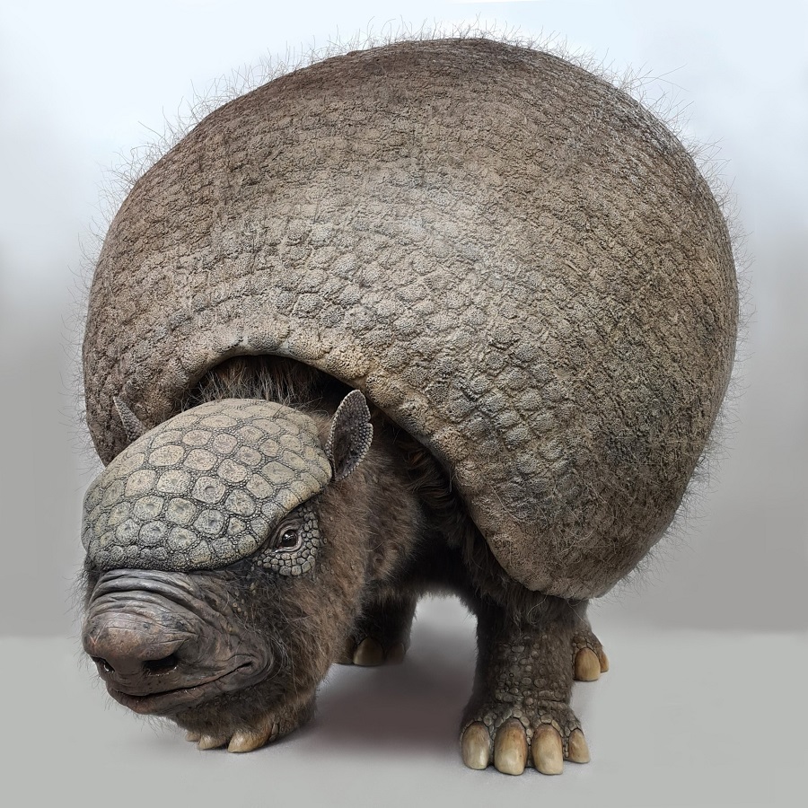 Sculpture giant extinct armadillo Life-size
