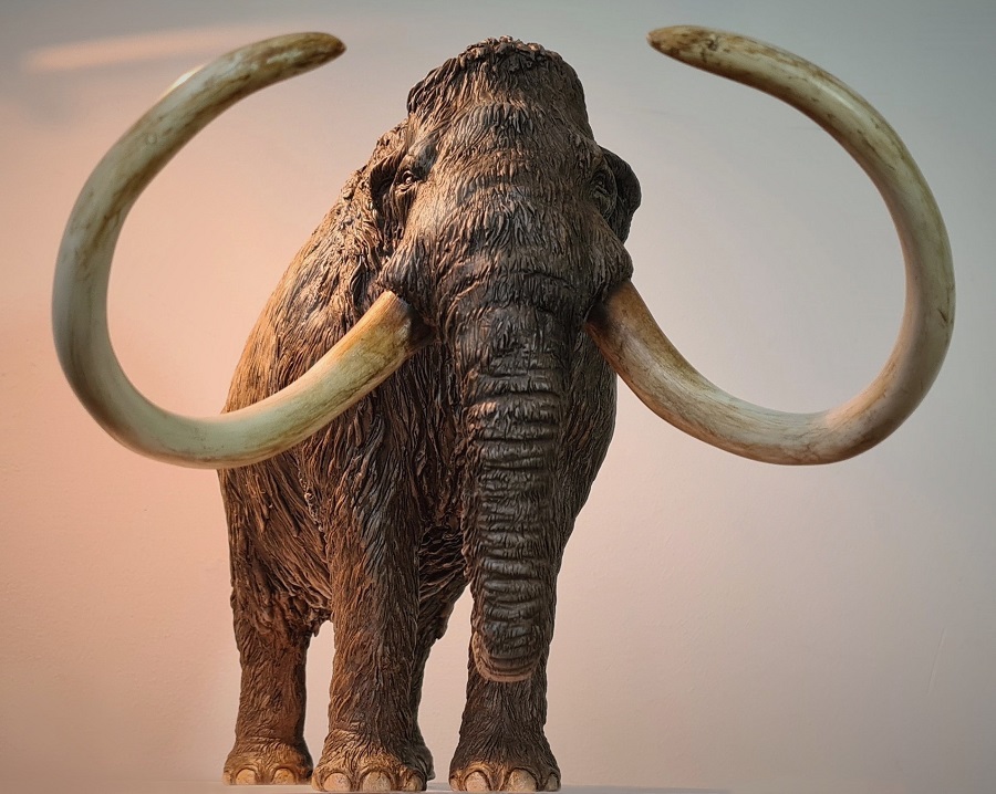 Beeldhouwwerk op schaal van de prehistorsch dier de wolharige mammoet