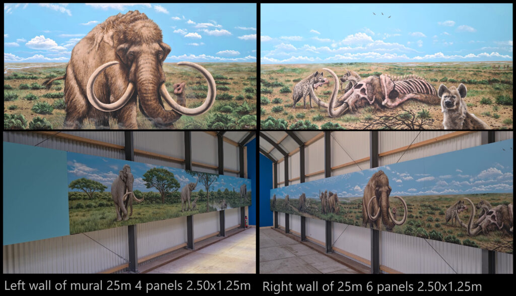 Mural 25m 10 paintings 2.50X1.25 m woolly mammoth & hyena |Muurschilderij groot van wolharige mammoet & Hyena