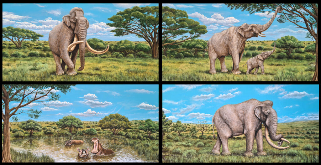 Mural 25m big! 10 paintings 2.50x1.25m Southern mammoth&hippo| Muurschildering zuidelijke mammoet&nijlpaarden 25 meter